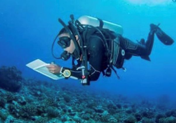 De'Marcus Robinson scuba diving