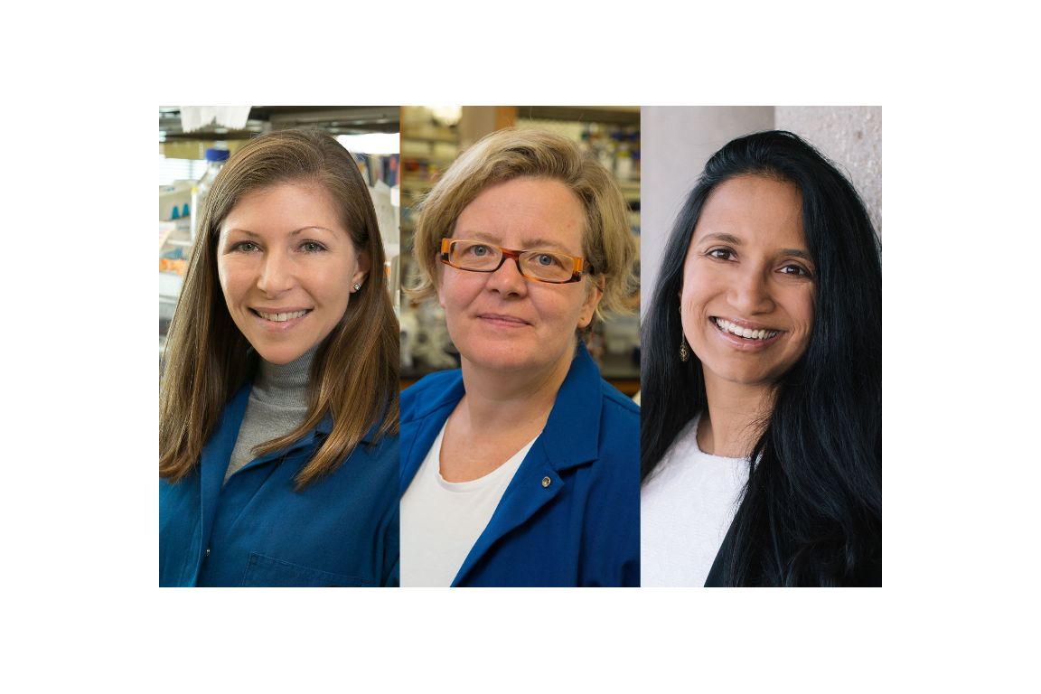 Scientists receive Chan Zuckerberg Initiative grant to study brain