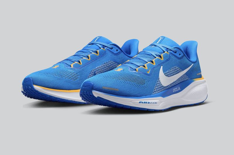 Bruins Zoom Pegasus 41 running shoes