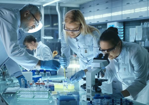 Highly Cited Researchers 2024