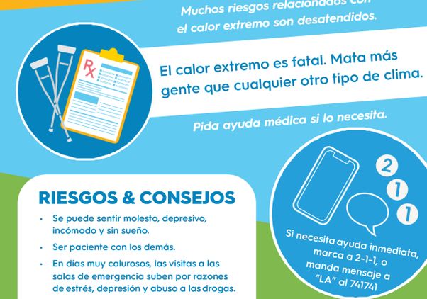 LARC flyer Risks and Tips Spanish