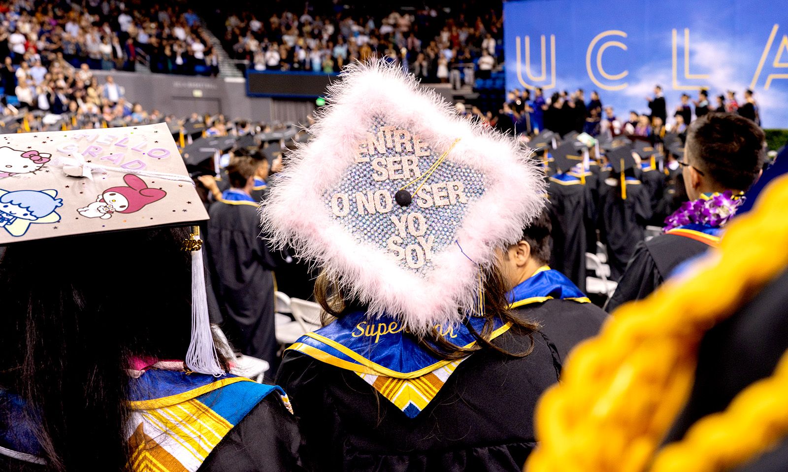 Mortarboard