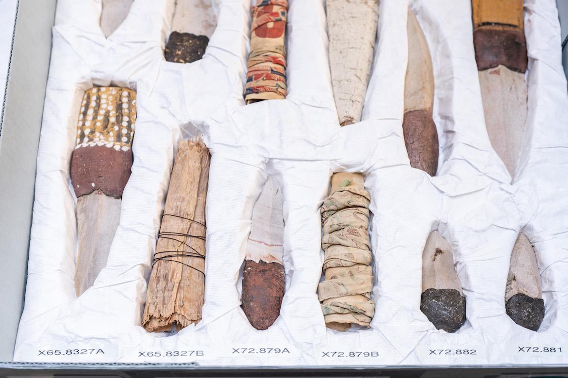 Warumungu knives and sheaths sit on a white sheet in a display box at the ceremony at the Fowler Museum.