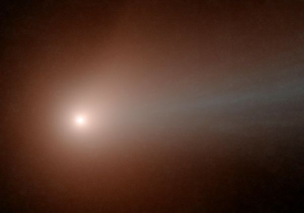 NEOWISE craft observes a comet