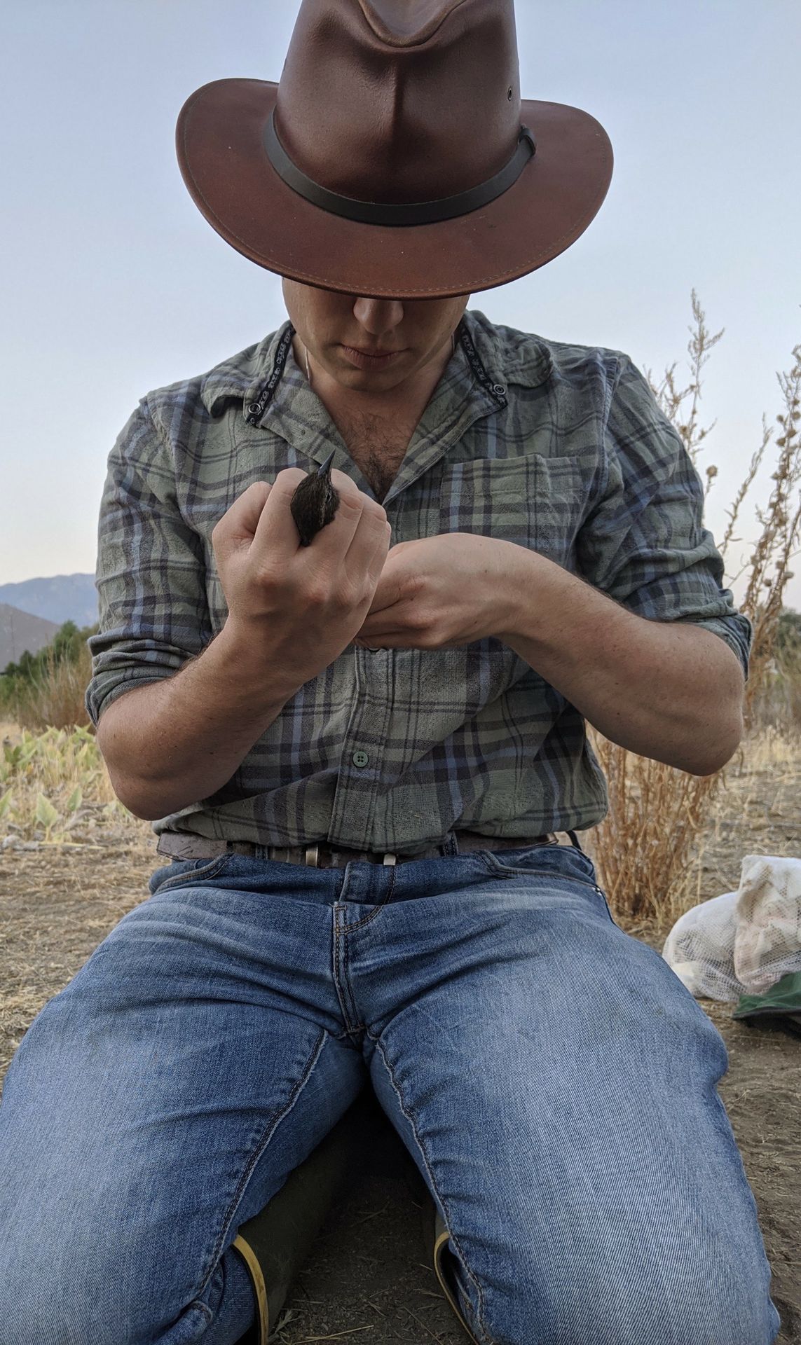 Joey Di Liberto in the field