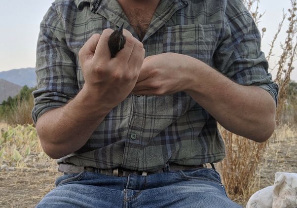 Joey Di Liberto in the field