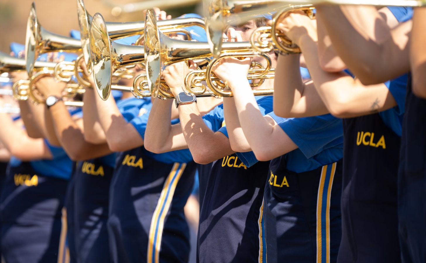 Line of Bruin band playing french horns