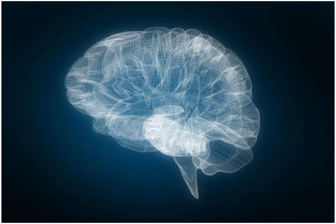 Brain illustration