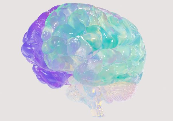 Translucent brain in purple and light blue 