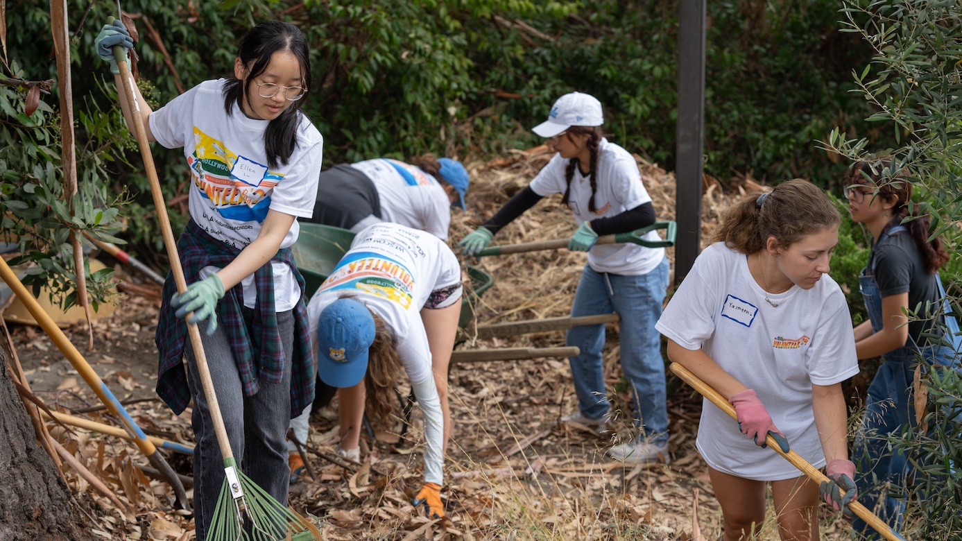 Volunteer Day — Students clear brush at the jane b semel HCI Community Garden on campus