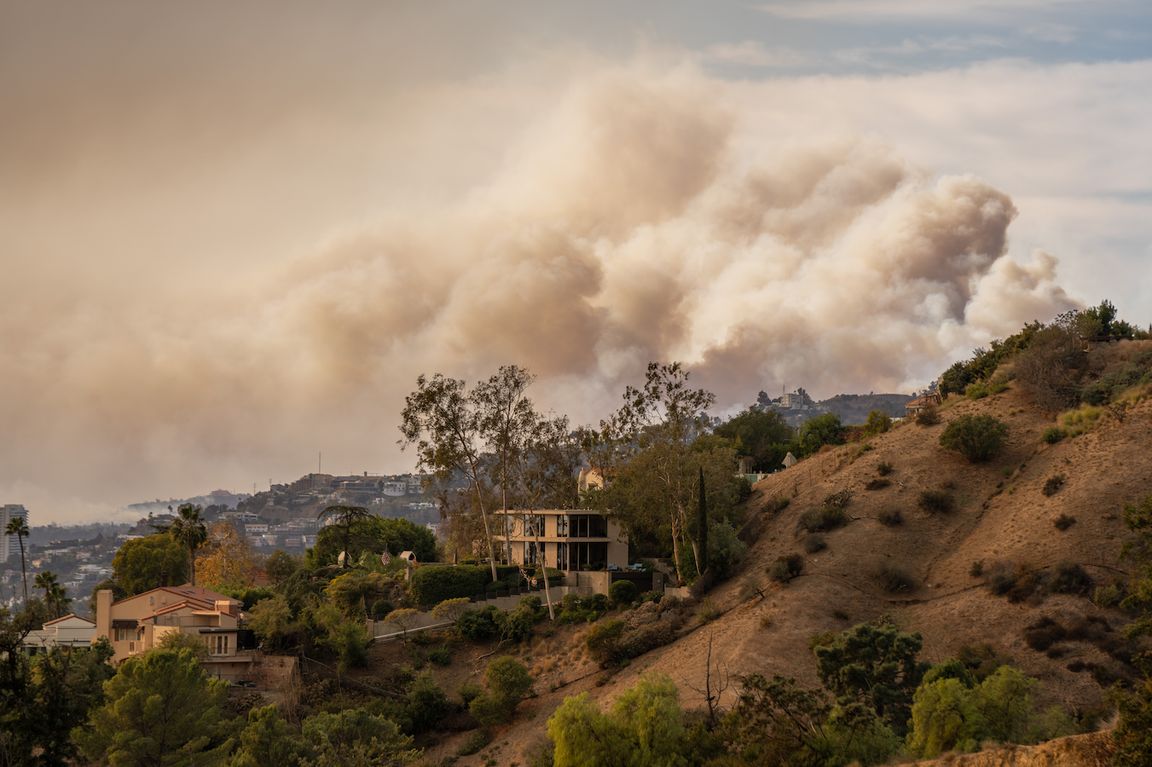 Una vista de los incendios forestales de enero de 2025 en Los Ángeles desde Griffith Park 