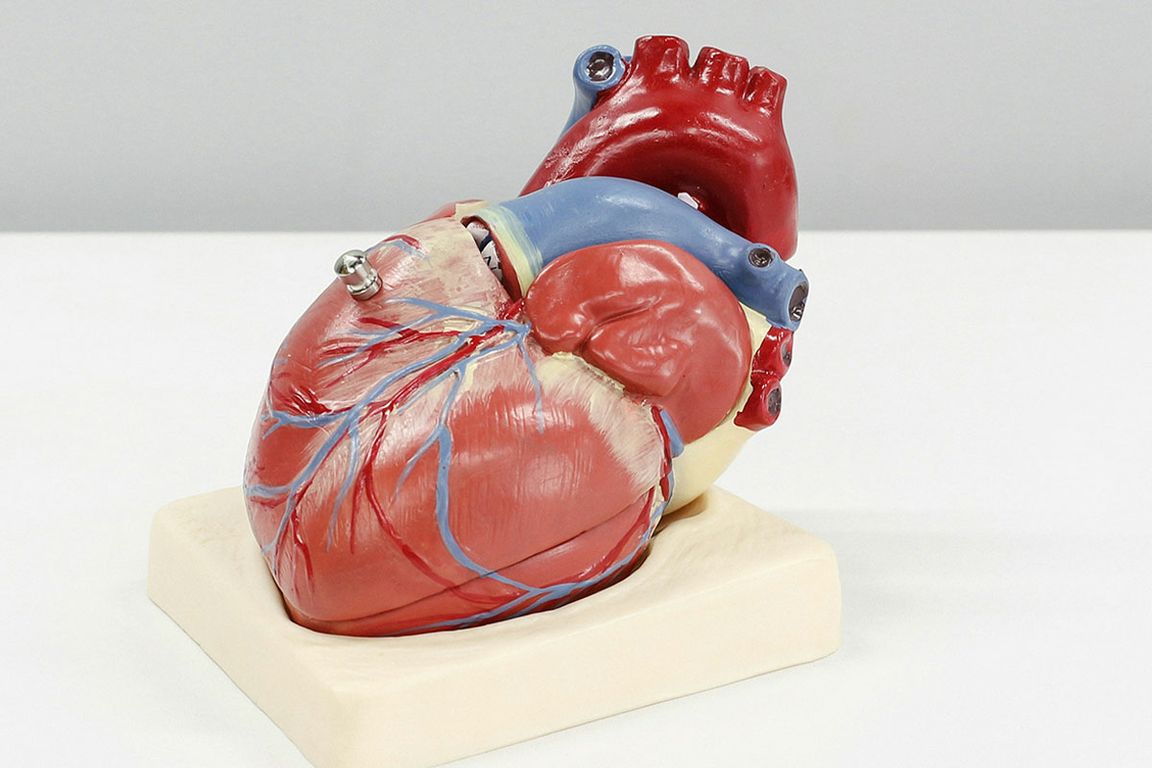 HeartUnsplash