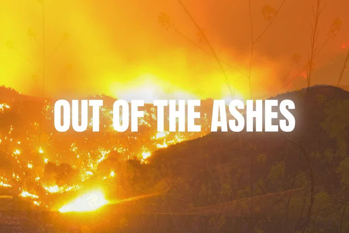 LA Wildfire Updates: UCLA Leads the Fight for a Safer Future | UCLA