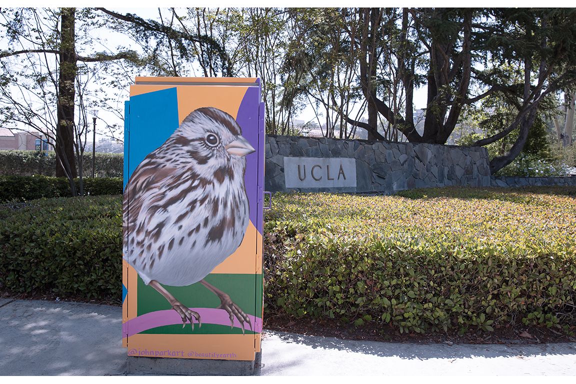 A painted utility box near the UCLA entrance sign features a large, realistic sparrow rendered in brown and white against a colorful geometric background of orange, blue, purple, green, and pink.