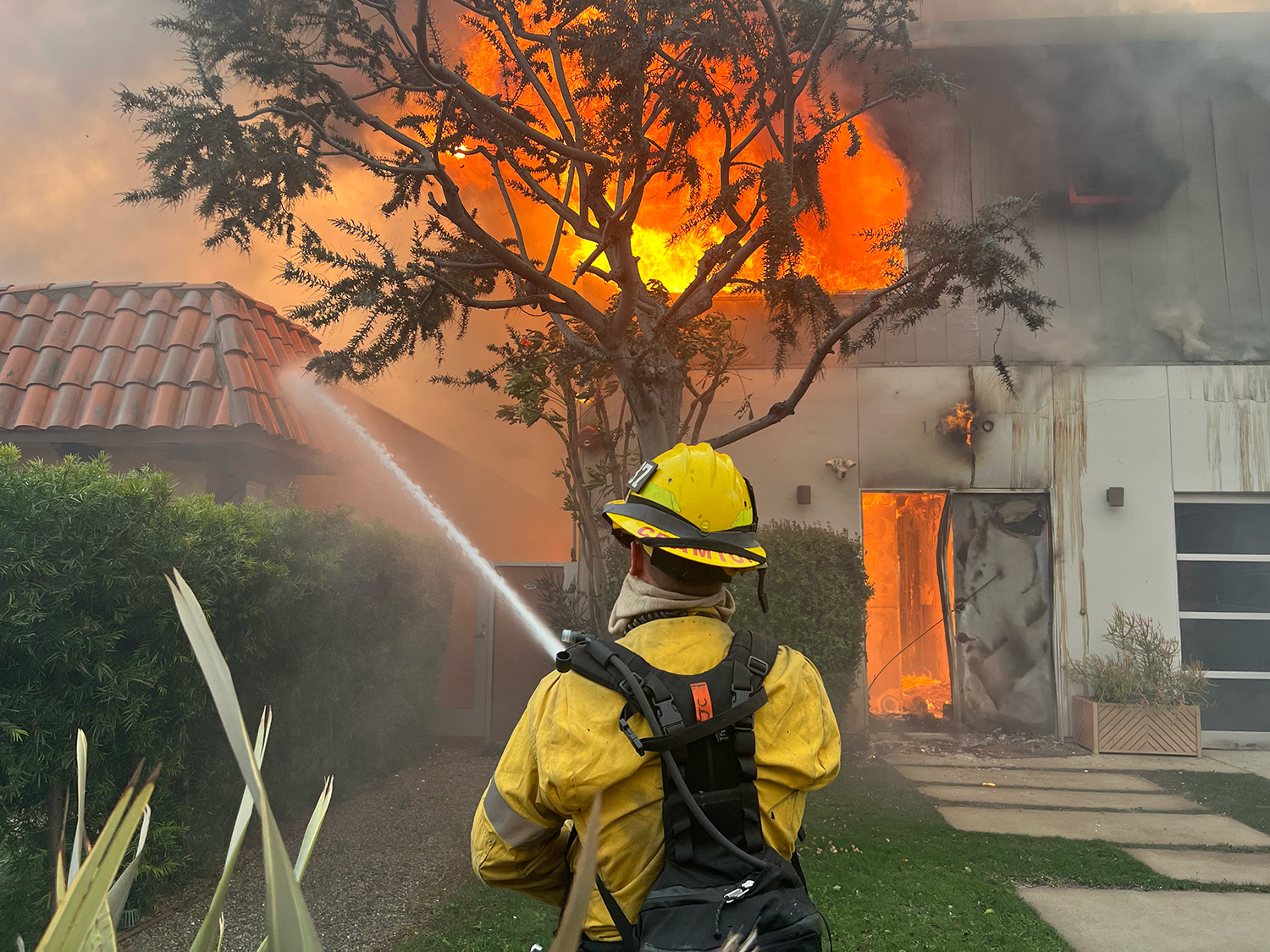 LA Wildfire Updates: UCLA Leads the Fight for a Safer Future | UCLA