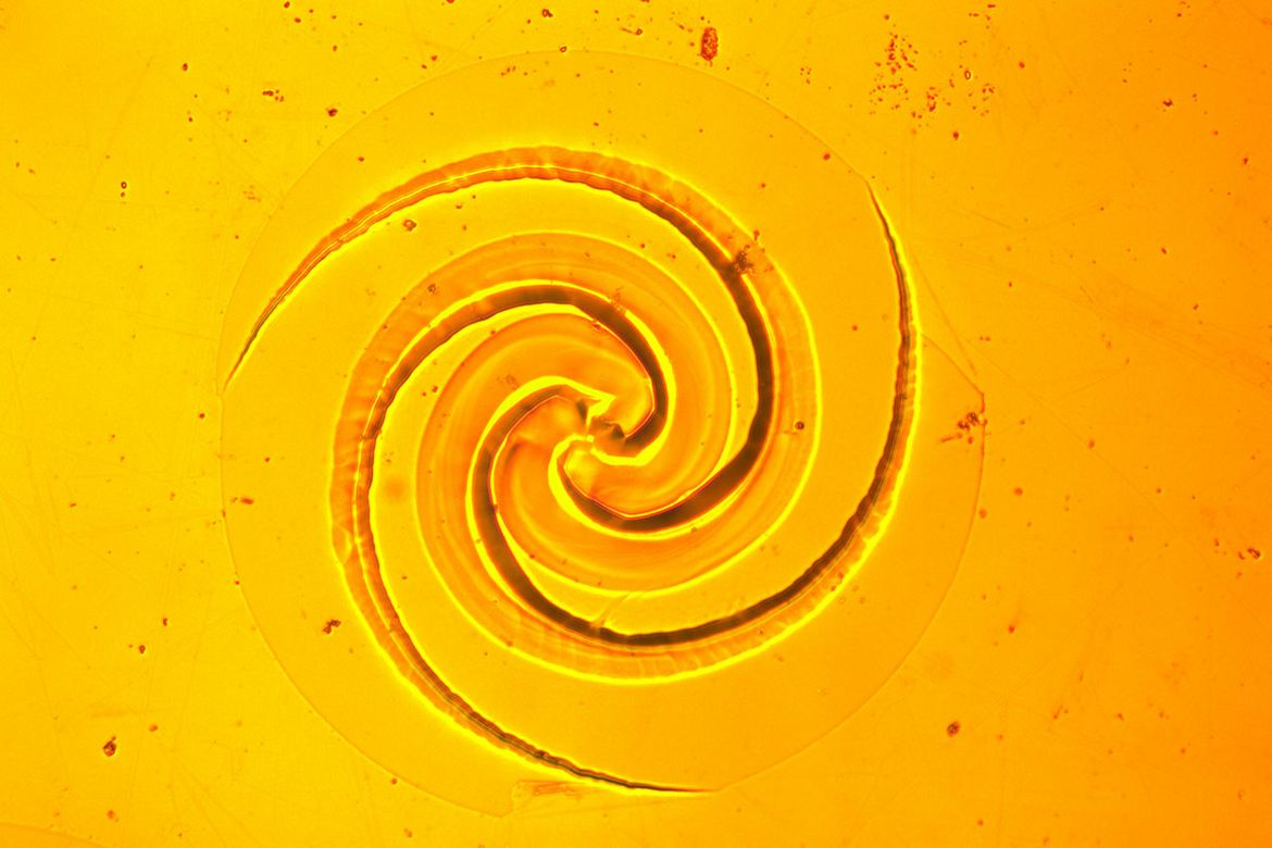 Microscopic image of a self-organized chemical spiral pattern that formed on a germanium wafer, photographed against a bright yellow-orange background.