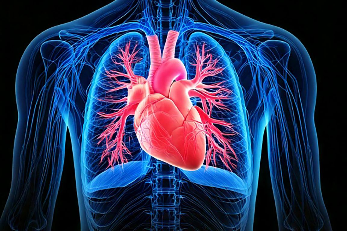 How UCLA Health is helping to extend transplant viability of heart and lungs