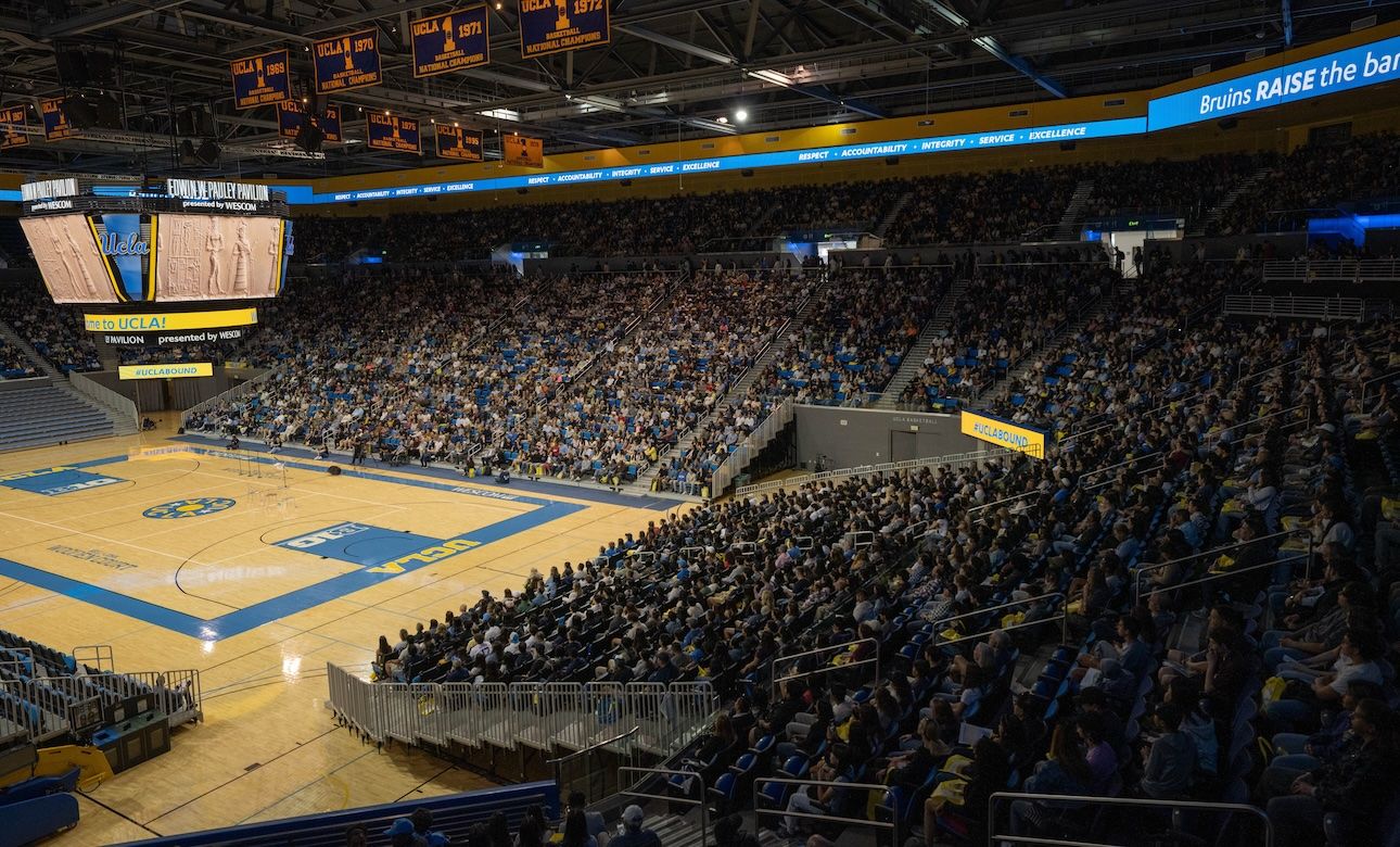 Wide-Packed Pauley-1280x780