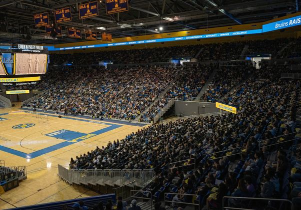 Wide-Packed Pauley-1280x780