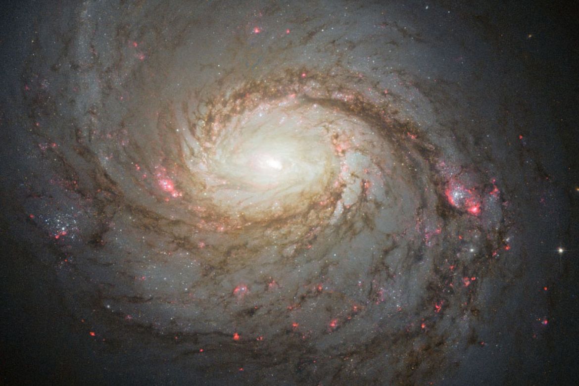 Galaxy image shows moderately wound spiral pattern and small red dots around light center
