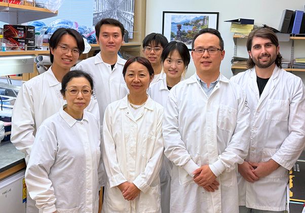 Cell paper authors