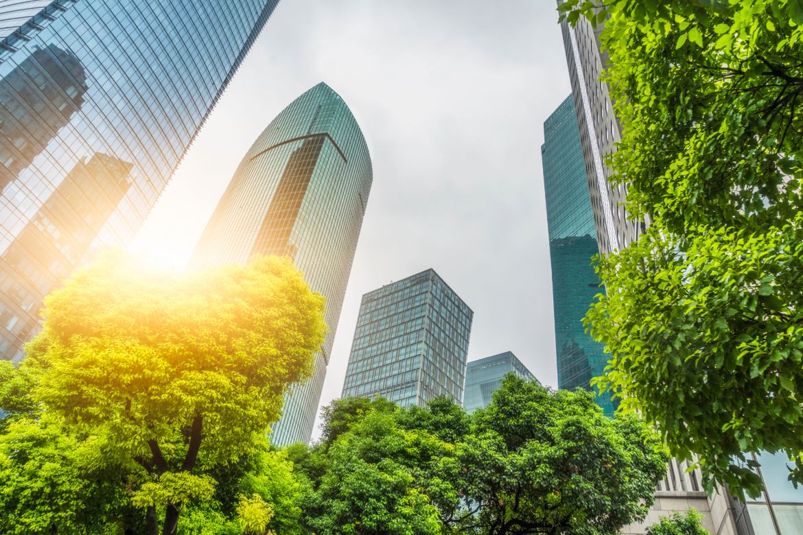 Tall glass skyscrapers tower over a line of leafy green trees