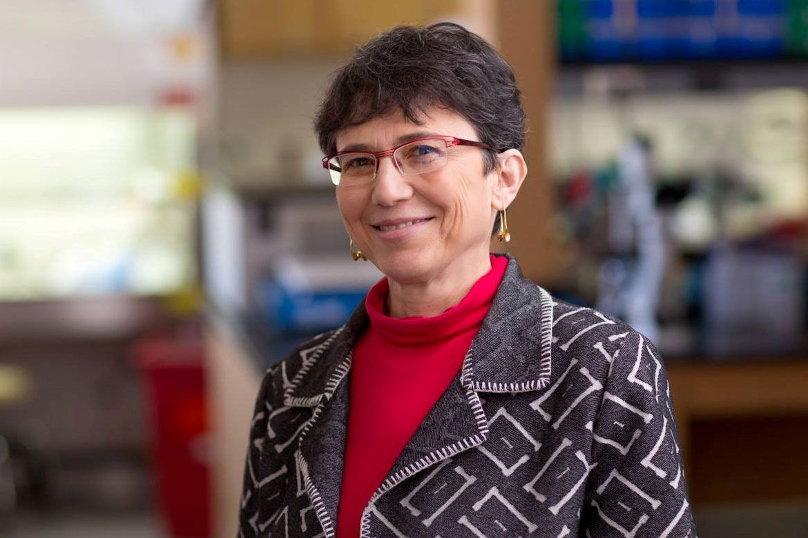 Grace Aldrovandi