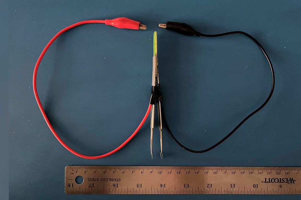 Next generation of batteries may get lifespan boost with help from new UCLA imaging techniques