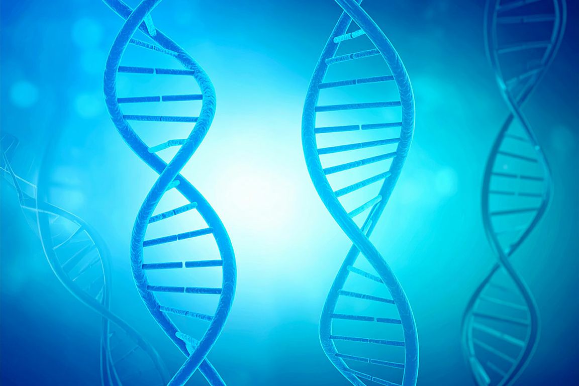 Genetic testing for children with autism and intellectual disabilities remains rare in Medicaid, despite national guideline