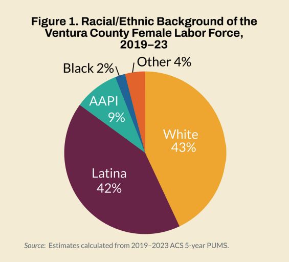 A pie chart showing the racial and ethnic background of the labor force in Ventura County