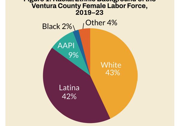 A pie chart showing the racial and ethnic background of the labor force in Ventura County