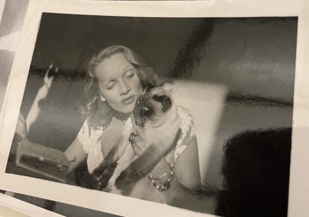 A black and white photo shows a candid scene of actor Marlene Dietrich holding and cooing over Dorothy Arzner's Siamese cat