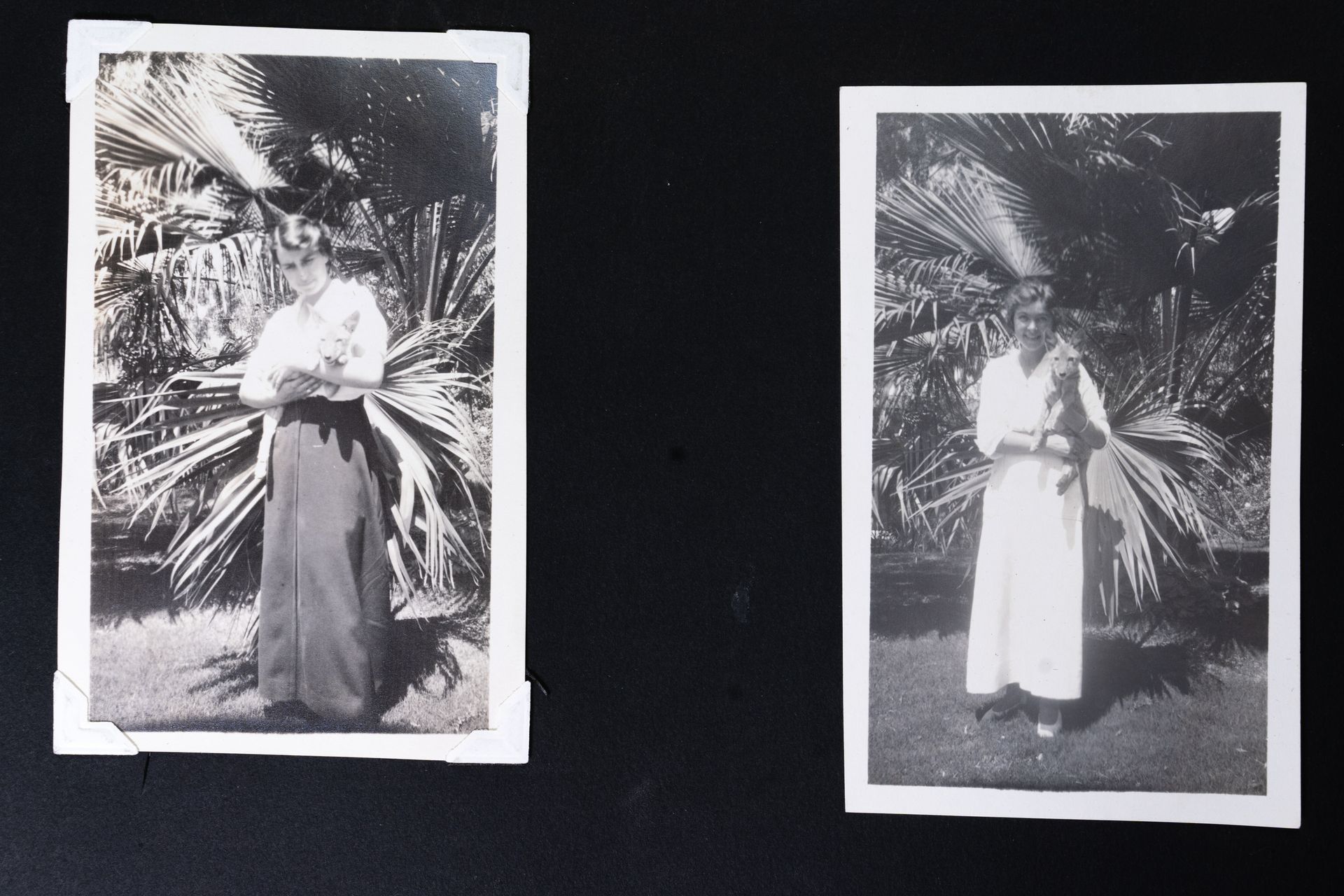 A Scan of two photos showing Dorothy Arzner with rescued coyote pup