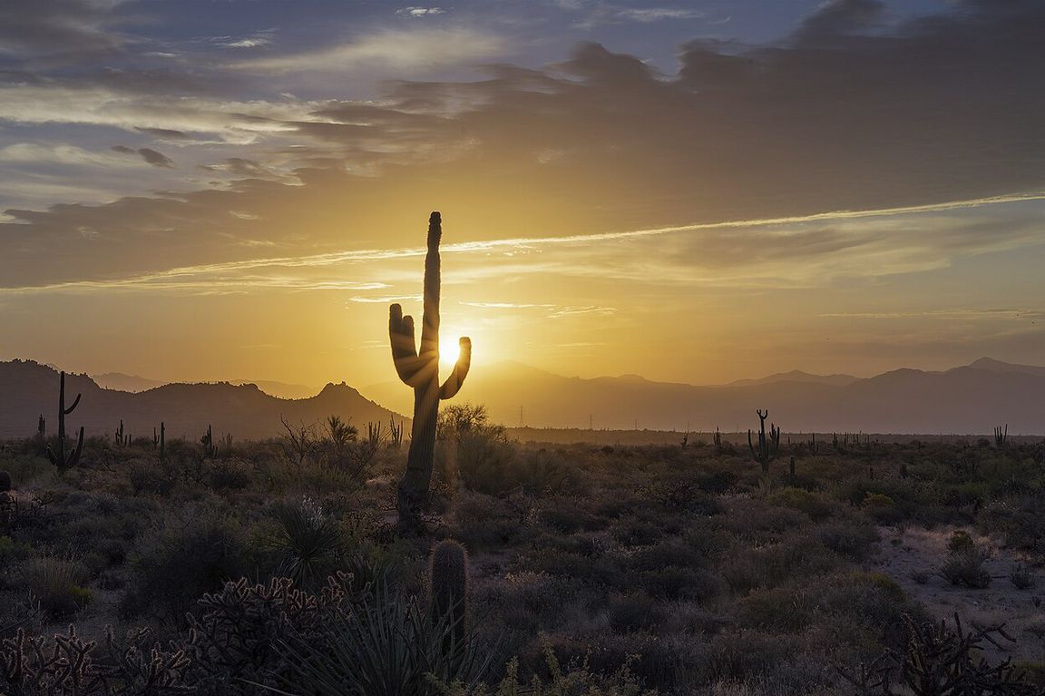 Duration of heat waves accelerating faster than global warming