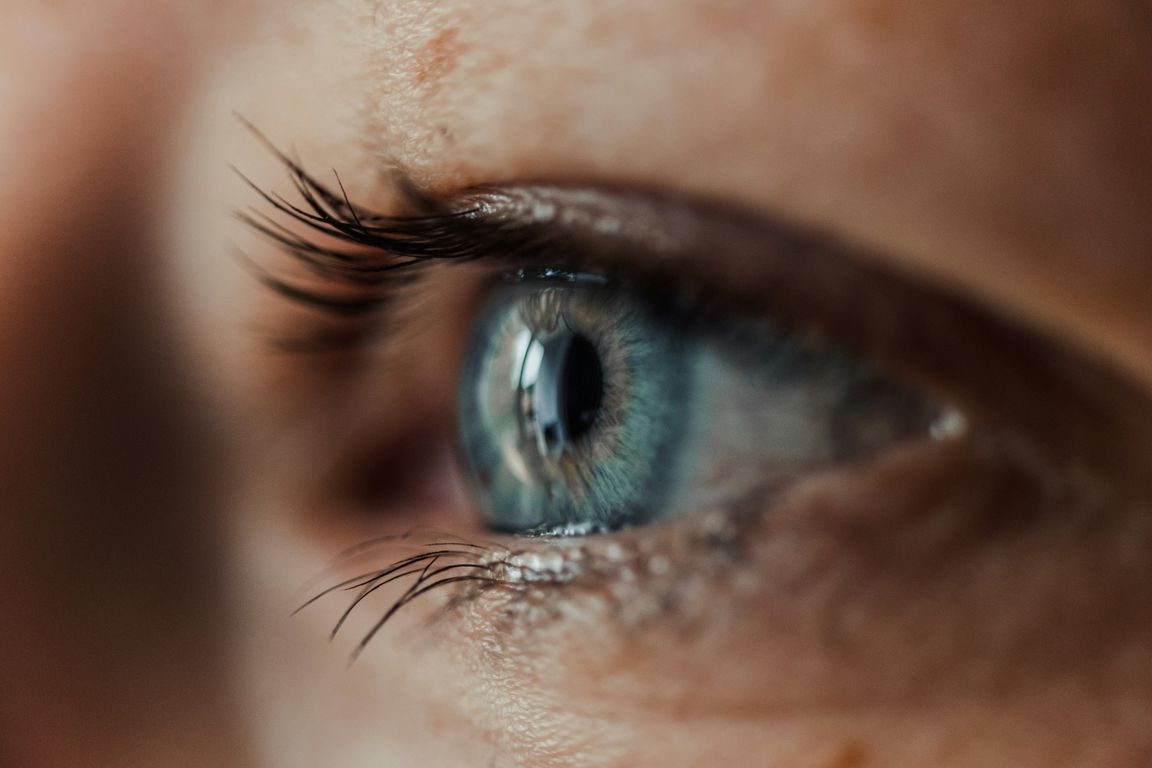UCLA study reveals complex muscle control behind blinking and eyelid function