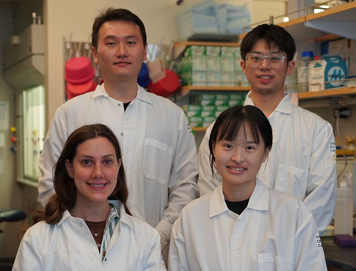 Four UCLA Broad Stem Cell Research Center researchers in white lab coats pose together in a laboratory. Clockwise from top left: Yanruide (Charlie) Li, Yichen Zhu, Yuning Chen, and Gabriella DiBernardo.