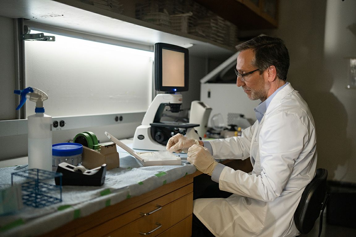 Photo: UCLA Dr. Antoni Ribas, senior author of the study and director of the Tumor Immunology Program at the UCLA Health Jonsson
