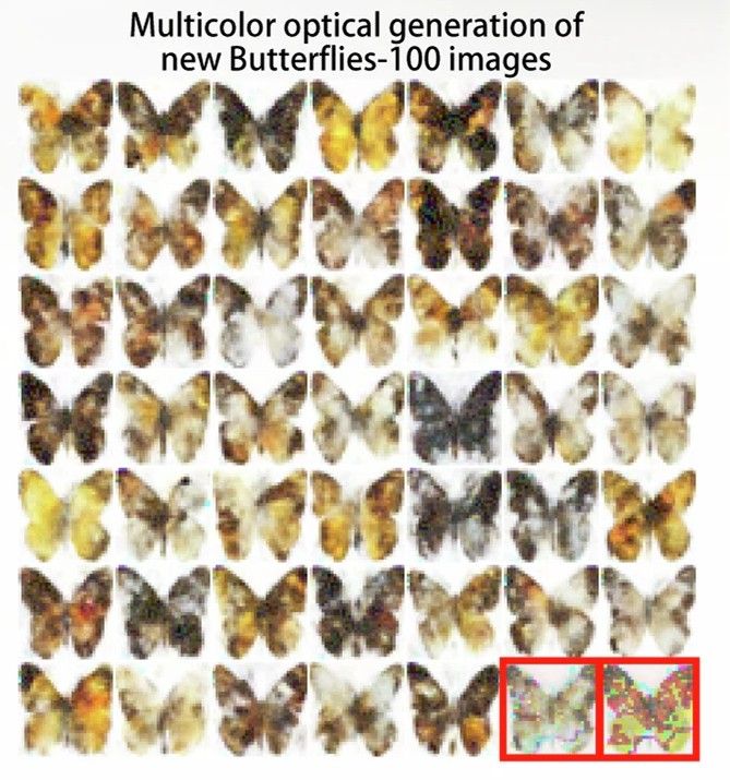 AI-generated novel butterfly images generated by a multi-color optical generative model