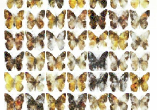 Click to open the large image: AI-generated novel butterfly images generated by a multi-color optical generative model