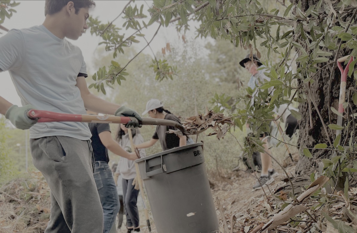 Volunteer-Students clearing brush at the campus community garden