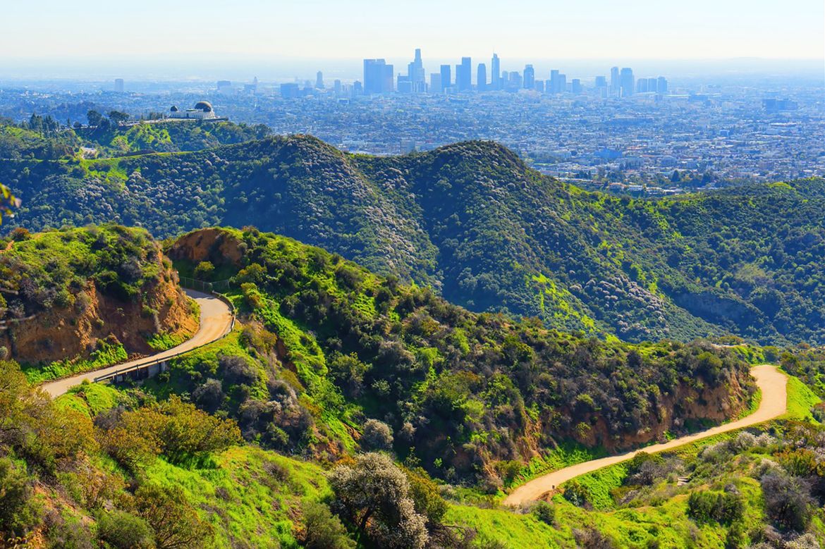 Hilltop view of Griffith Observatory and downtown Los Angeles skyline