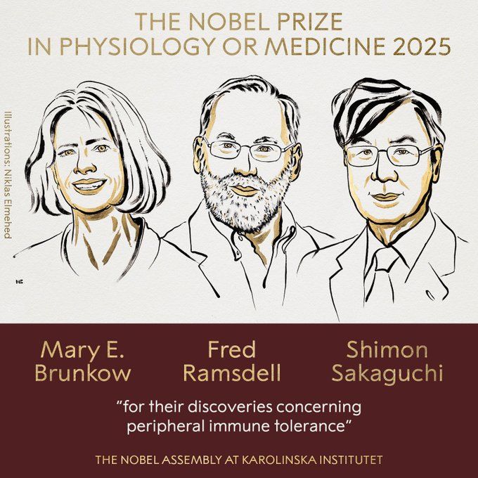 UCLA alum Fred Ramsdell wins 2025 Nobel in physiology or medicine | UCLA