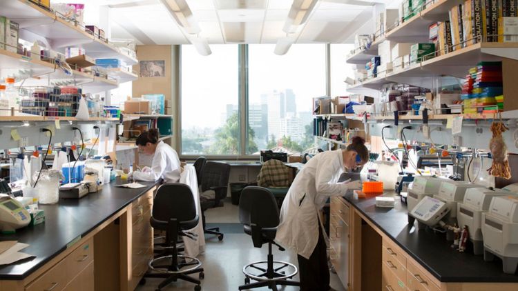 Two researchers in white lab coats work at benches in a busy laboratory lined with shelves of supplies and equipment, with a cityscape visible through large windows.