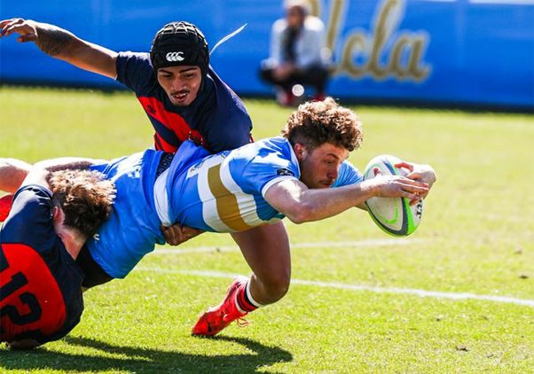 Rugby player in blue and gold getting tackled by two players in navy and red