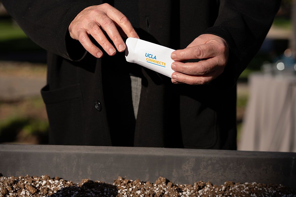 Hands sprinkling seeds in a planter