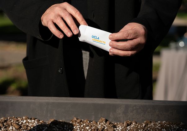 Hands sprinkling seeds in a planter