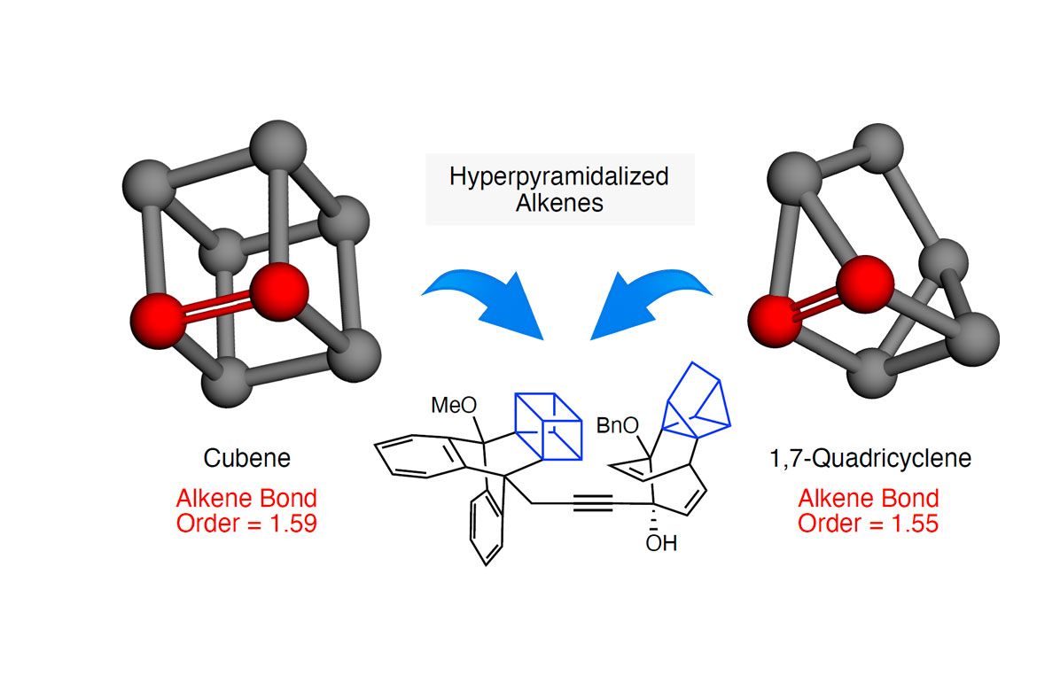 Diagram of two hyperpyramidalized alkene structures: Cubene (left, cube-shaped, bond order 1.59) and 1,7-Quadricyclene (right, compact angular structure, bond order 1.55), with blue arrows pointing to a related organic molecule in the center.