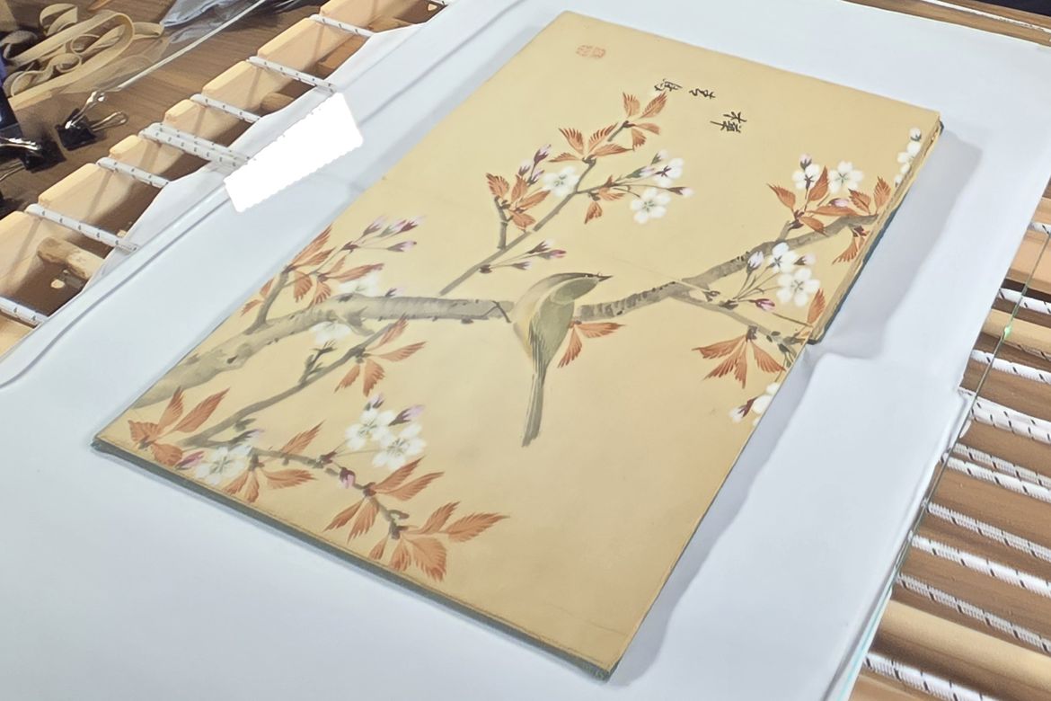 A historical Japanese illustrated book lies beneath a pane of glass on a custom scanning bed, open to a page depicting a small green bird perched on a flowering branch with orange and white blossoms.