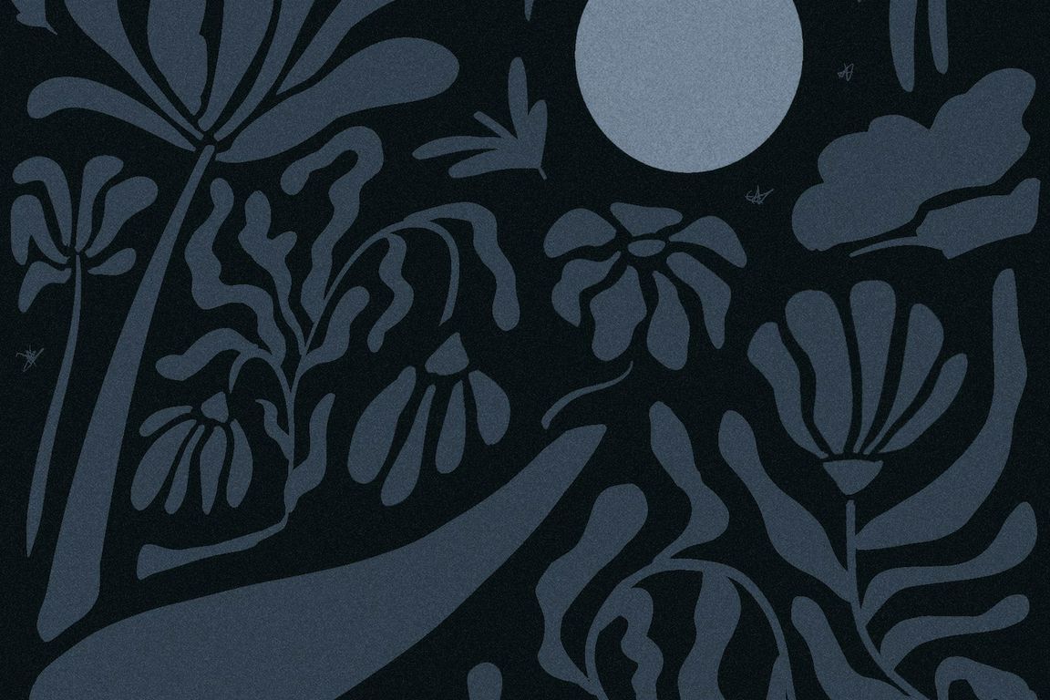 A dark illustrated garden scene with silhouetted plants and flowers under a full moon against a night sky.