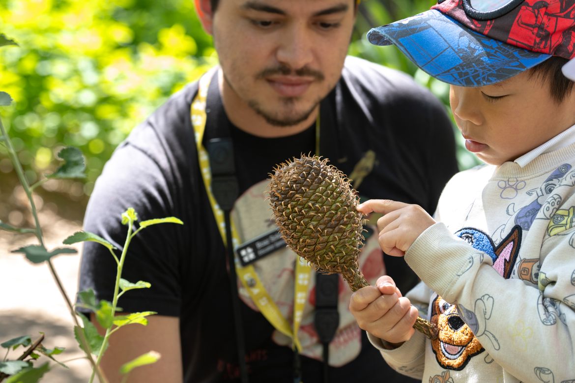 Boaz Solorio kneels beside a young student, guiding them as they examine and touch a large plant cone during an outdoor lesson.